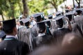 Row of university graduates