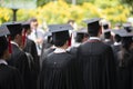 Row of university graduates