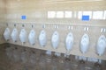Row of urinal toilet blocks for man