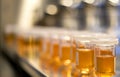 Row of urine samples set for analysis on a lab bench. Medical laboratory environment. Concept of routine testing, health Royalty Free Stock Photo