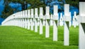 Row of US military graves with white crosses on a grassfield. D-Day Normandy American Cemetery, Colleville-sur-Mer, France.