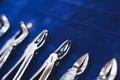 row of various dental extraction forceps tools on display on blue background with shallow depth of field Royalty Free Stock Photo