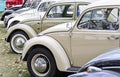 Row of various VW model Beetle (Kafer) cars during an exhibition in a park Royalty Free Stock Photo