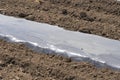 Row of Vegetable Beds Covered in Plastic Mulch on a Farmland Royalty Free Stock Photo