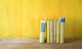 Row of vintage books Royalty Free Stock Photo