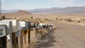 Row of vintage drop boxes on road intersection, arid Arisona desert, USA. Postal retro mailboxes on roadside of tourist Route 66.