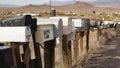 Row of vintage drop boxes on road intersection, arid Arisona desert, USA. Postal retro mailboxes on roadside of tourist Route 66. Royalty Free Stock Photo