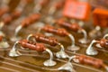 Row of resistors on circuit board Royalty Free Stock Photo