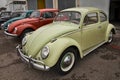 Row of vintage Volkswagen Type 1 Beetle Royalty Free Stock Photo