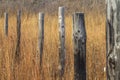 Row of weathered wood posts, rural Kansas