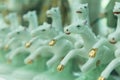A row of white ceramic horse statues