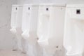 Row of white urinals in the men\'s bathroom, White ceramic urinals in public toilet Royalty Free Stock Photo