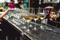 Row of white wine glasses. bar in the expensive restaurant Royalty Free Stock Photo