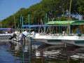 Row of Wildlife Tour Boats