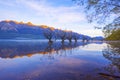 Row of willow trees on Lake Wakatipu in Glenorchy, New Zealand. Royalty Free Stock Photo