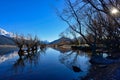 Row of willow trees on Lake Wakatipu in Glenorchy in New Zealand Royalty Free Stock Photo