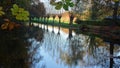 Row of willows reflected in water Royalty Free Stock Photo