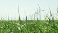 A row of wind turbines behing waving grass