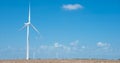 Wind turbines farm on cotton field at Corpus Christi, Texas, USA Royalty Free Stock Photo