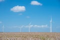 Wind turbines farm on cotton field at Corpus Christi, Texas, USA Royalty Free Stock Photo