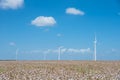 Wind turbines farm on cotton field at Corpus Christi, Texas, USA Royalty Free Stock Photo