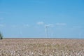 Wind turbines farm on cotton field at Corpus Christi, Texas, USA Royalty Free Stock Photo