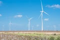 Wind turbines farm on cotton field at Corpus Christi, Texas, USA Royalty Free Stock Photo