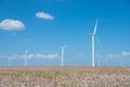 Wind turbines farm on cotton field at Corpus Christi, Texas, USA Royalty Free Stock Photo