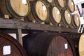 A row of wine barrels in a winery cellar. Royalty Free Stock Photo