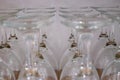 A row of wine glasses are lined up on a table Royalty Free Stock Photo