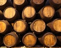 Row of wooden barrels of tawny portwine Royalty Free Stock Photo