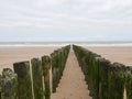 Row of wooden breakwaters on beach Royalty Free Stock Photo