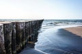 Row of wooden logs on the beach of Sianozety, Poland Royalty Free Stock Photo