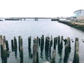 A row of wooden poles by the Portland waterfront