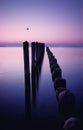 a row of wooden posts in the water at sunset