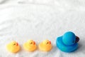 Row of yellow and blue ducks on white background. baby Flat lay. Leadership and following concept Royalty Free Stock Photo