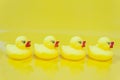 A row of yellow ducks toy on yellow background