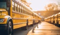 Row of Yellow School Buses Parked Together Royalty Free Stock Photo