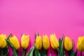 Row of yellow tulips on white rustic wooden background with space for message. Concept Hello Spring flowers Royalty Free Stock Photo