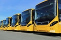 Row of Yellow Volvo 8900 Intercity Buses