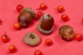 Rowan berries and several acorns lie on a coral-colored surface