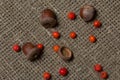 Rowan berries and several acorns lie on a rough linen canvas. There are scattered individual rowan berries