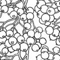 Rowan berries vector pattern