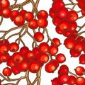 Rowan berries vector pattern