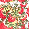 Rowan branch. Seamless pattern. Digital illustration.