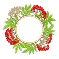 Rowan branch vector frame Royalty Free Stock Photo