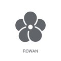 Rowan icon. Trendy Rowan logo concept on white background from N