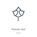 Rowan leaf icon. Thin linear rowan leaf outline icon isolated on white background from nature collection. Line vector sign, symbol