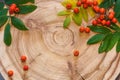 The rowan leaves and berries on round saw cut the larch.