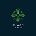 Rowan leaves rounded vintage logo